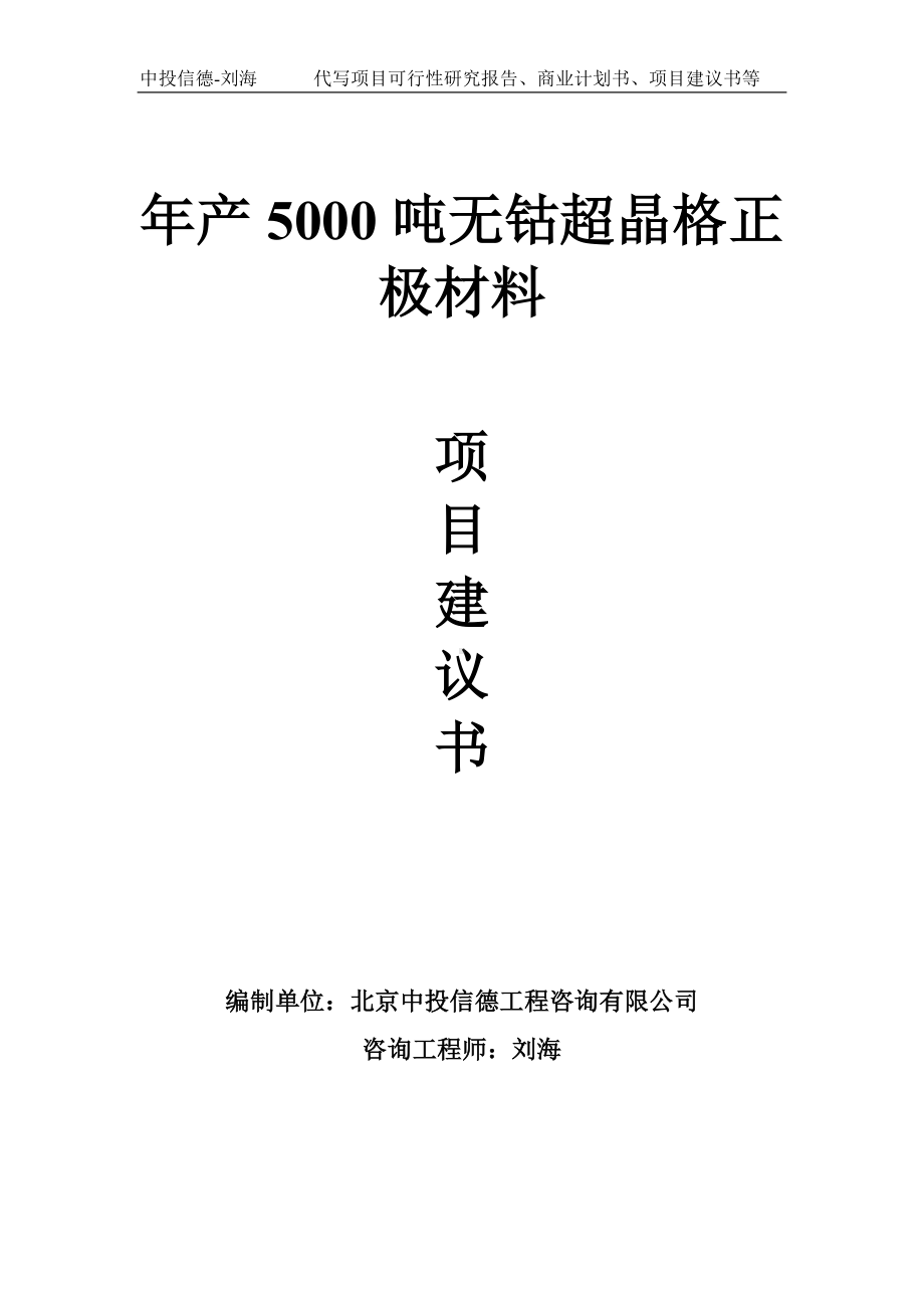 年产5000吨无钴超晶格正极材料项目建议书-写作模板.doc_第1页