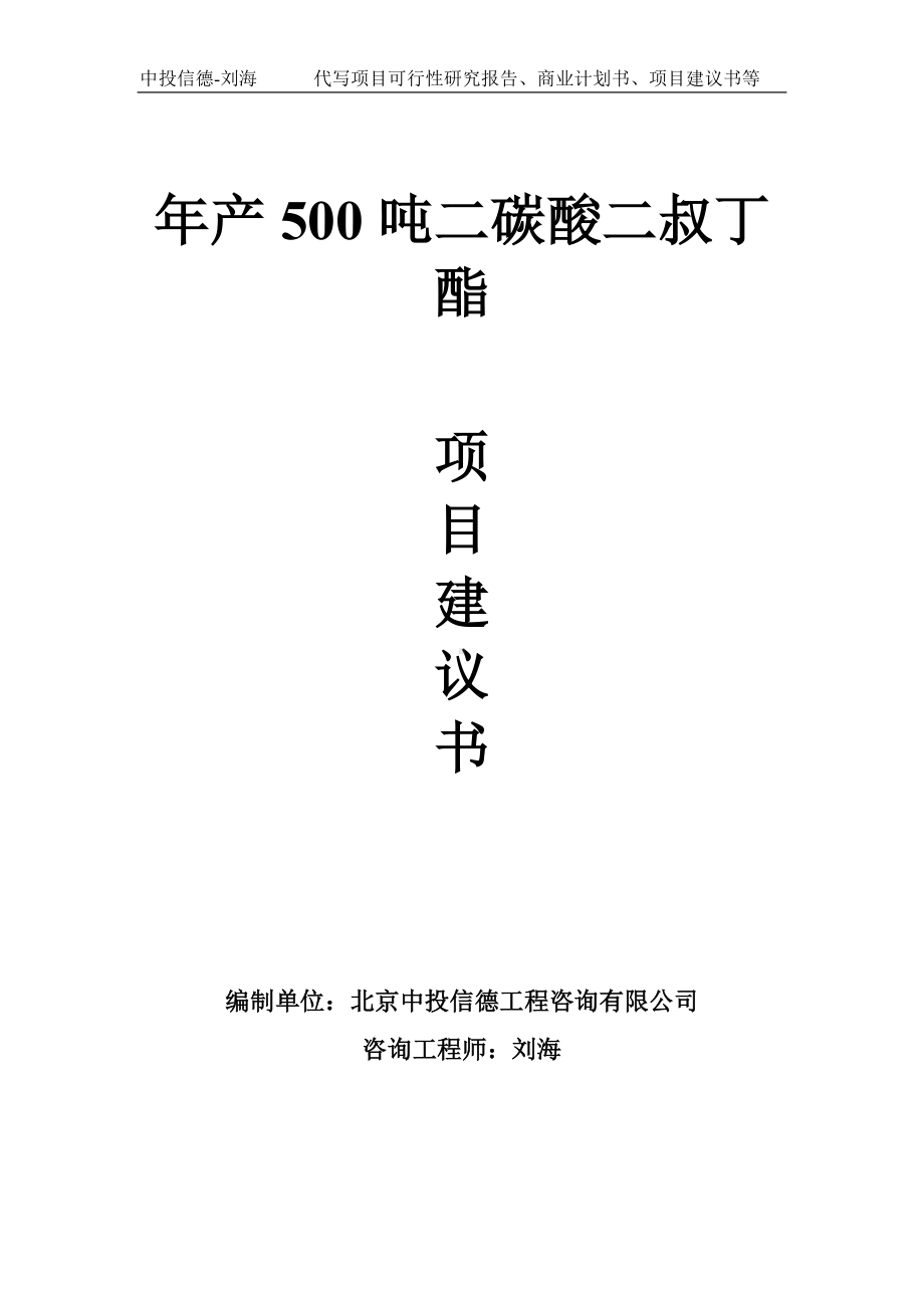 年产500吨二碳酸二叔丁酯项目建议书-写作模板.doc_第1页