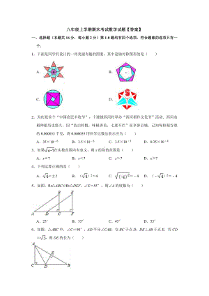 （3套试卷）八年级上学期期末考试数学试题（答案）.doc