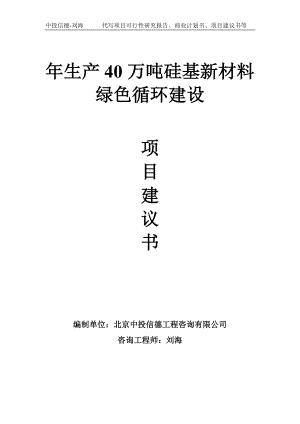 年生产40万吨硅基新材料绿色循环建设项目建议书-写作模板.doc