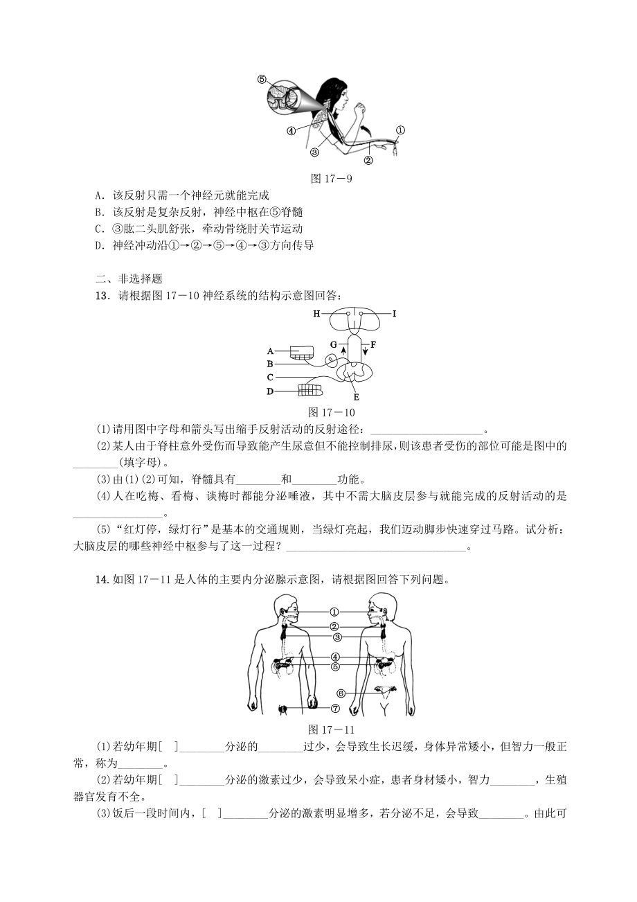 「最新」中考生物第四单元生物圈中的人第17课时神经调节与激素调节课时作业-最新下载.doc_第3页