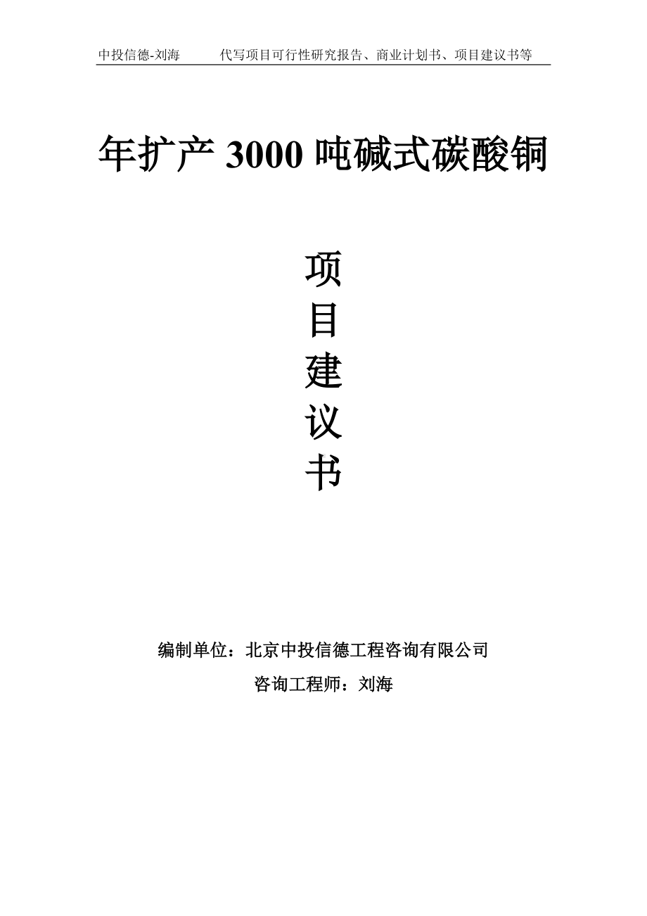 年扩产3000吨碱式碳酸铜项目建议书-写作模板.doc_第1页