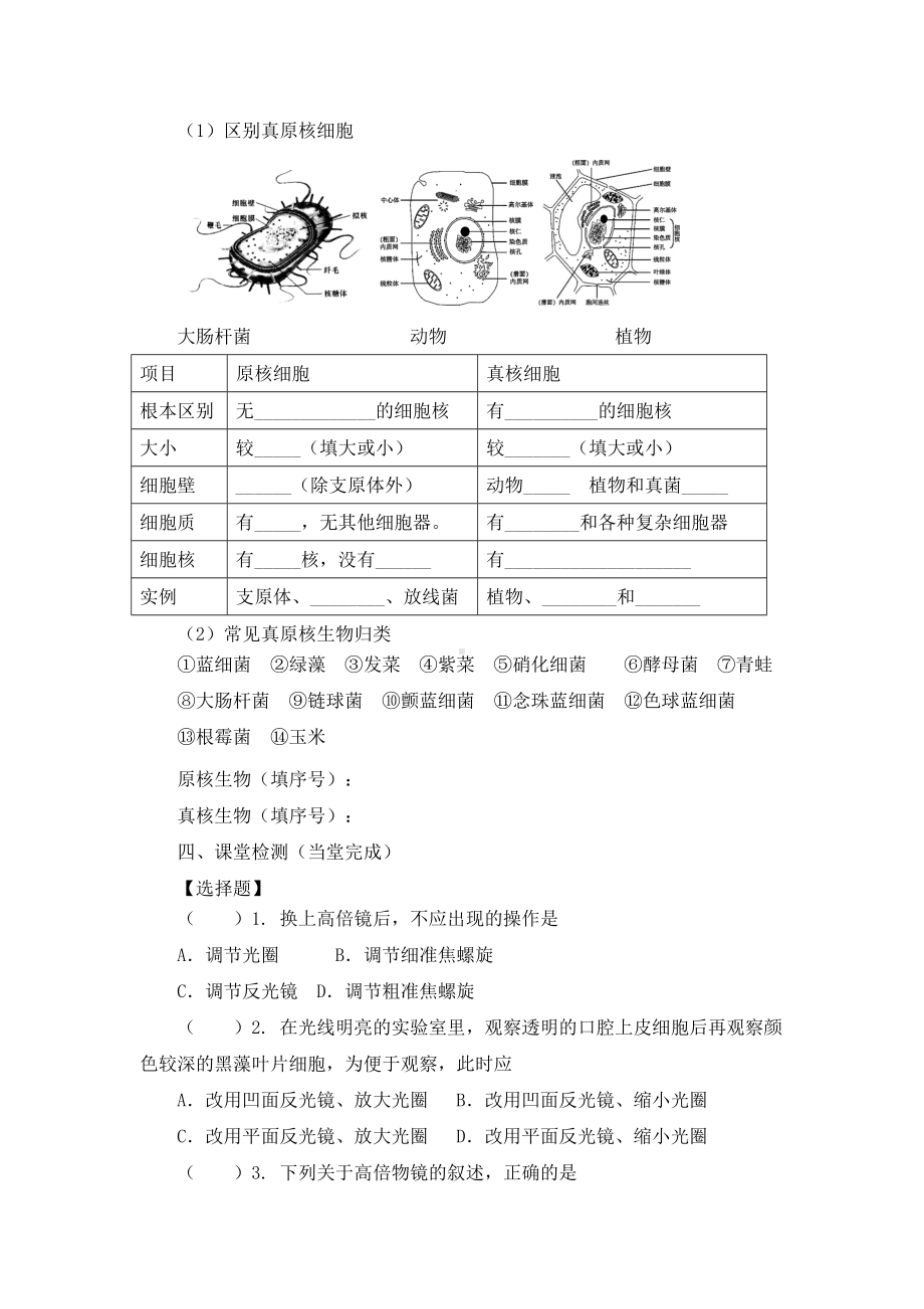 《第2节-细胞的多样性和统一性》导学案(两篇).docx_第3页