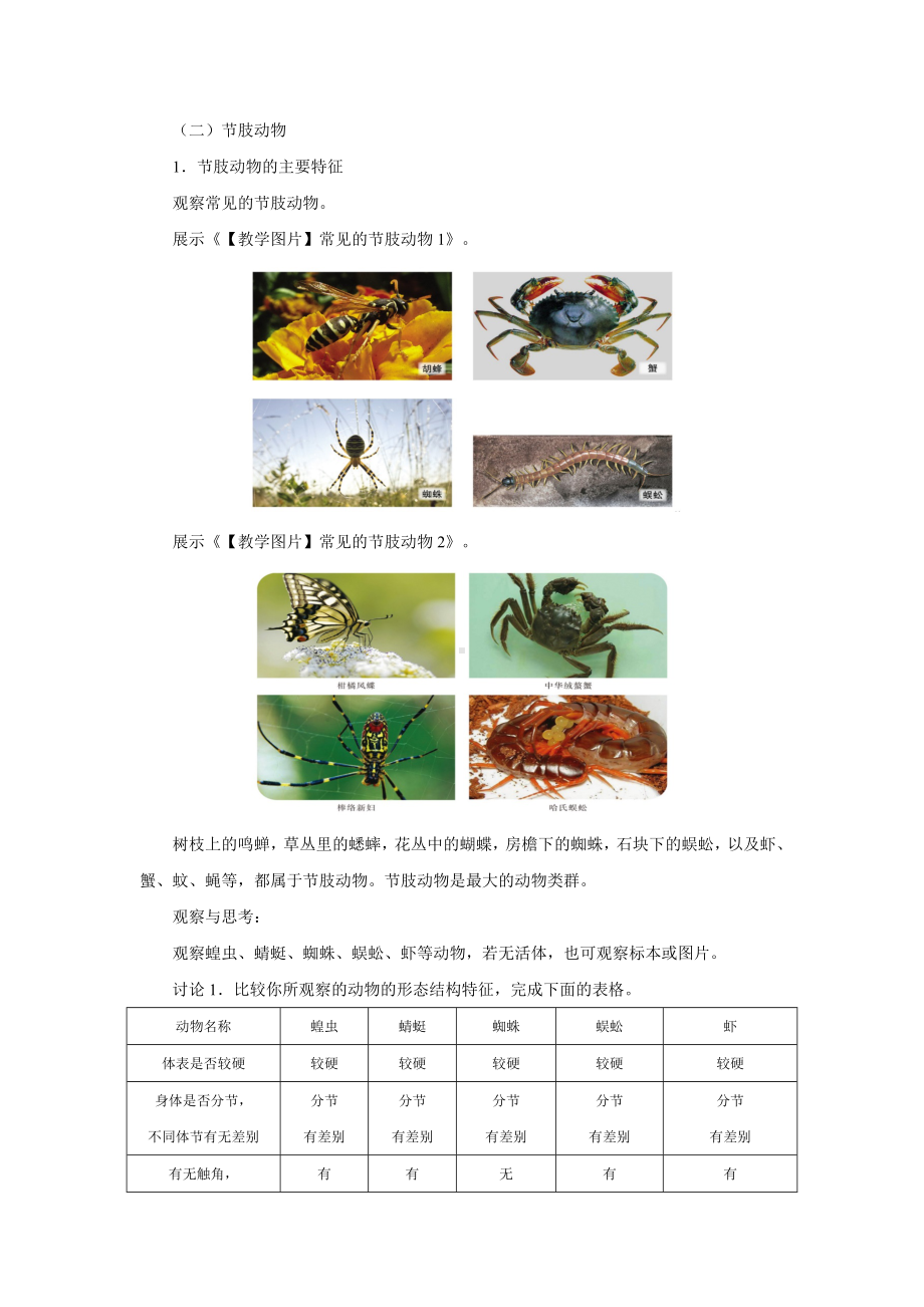 《第三节-软体动物和节肢动物-第2课时》示范课教学设计（初中生物人教版八年级上册）.docx_第2页