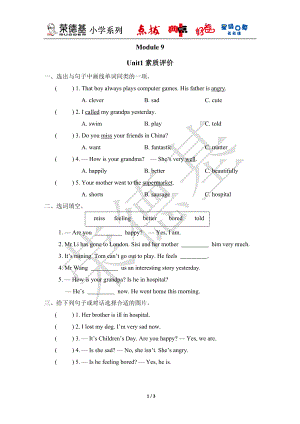 Module 9 Unit 1 素质评价-五年级英语外研版上册.doc