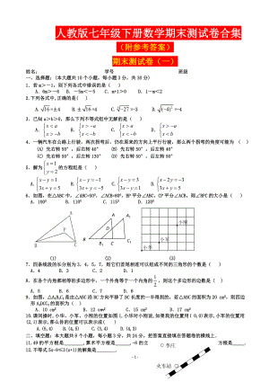 人教版七年级下册数学期末测试卷合集 (际参考答案).doc