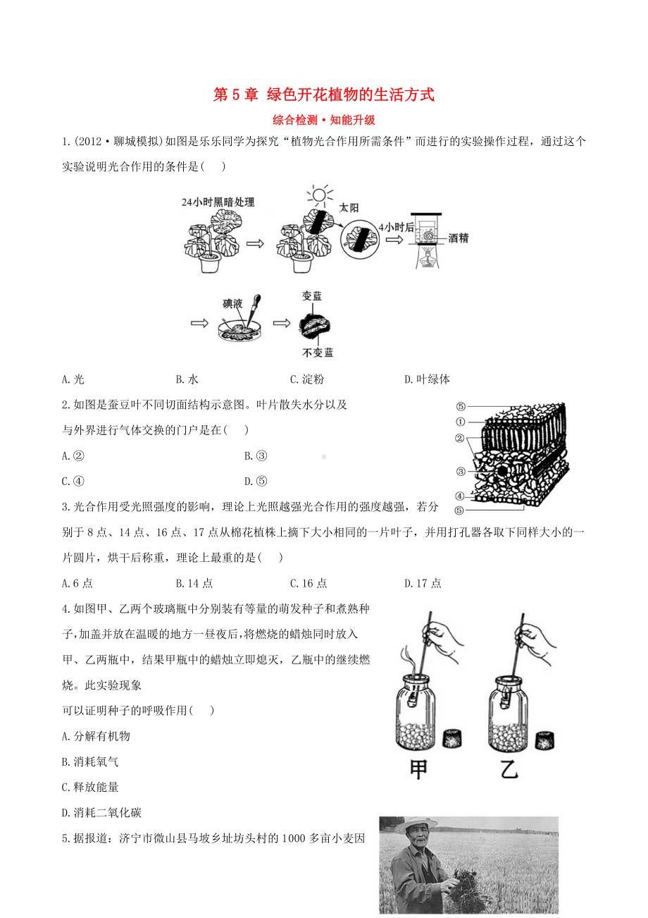 （全程复习方略）中考生物-第5章-绿色开花植物的生活方式精练精析(含中考题示例)-北师大版.doc_第1页