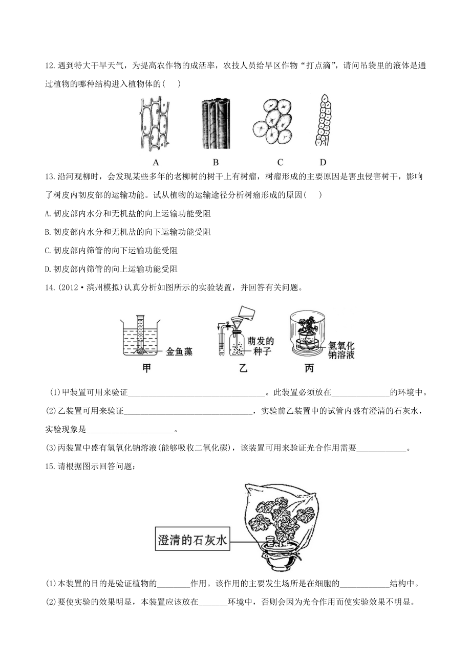 （全程复习方略）中考生物-第5章-绿色开花植物的生活方式精练精析(含中考题示例)-北师大版.doc_第3页