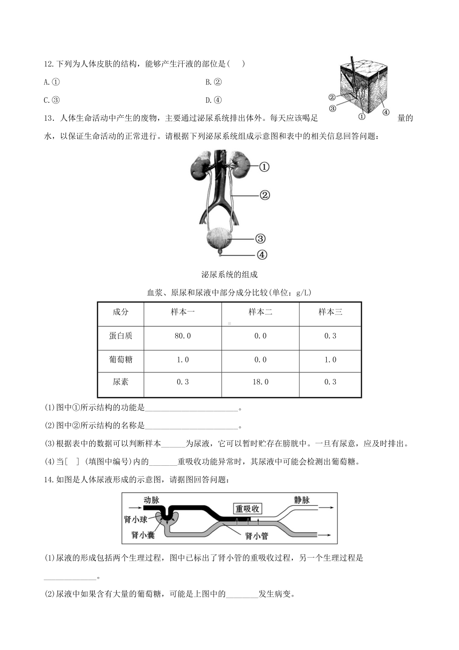 （全程复习方略）中考生物-第11章-人体代谢废物的排出精练精析(含中考题示例)-北师大版.doc_第3页