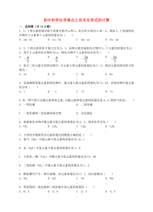 （冲刺中考）中考化学难点突破专题09-有关化学式的计算.doc