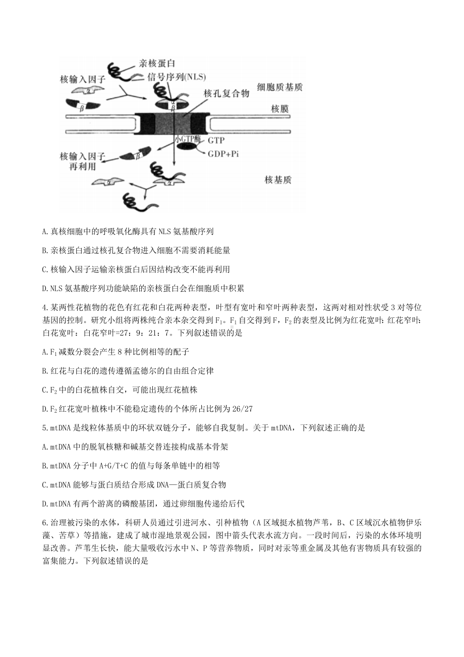 湖南省娄底市2023届高三第四次模拟考试生物试卷+答案.docx_第2页