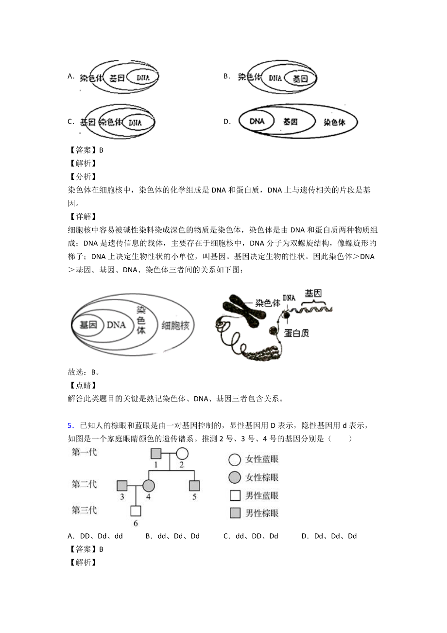 （人教版）生物《生物圈中生命的延续和发展》试卷含答案.doc_第3页