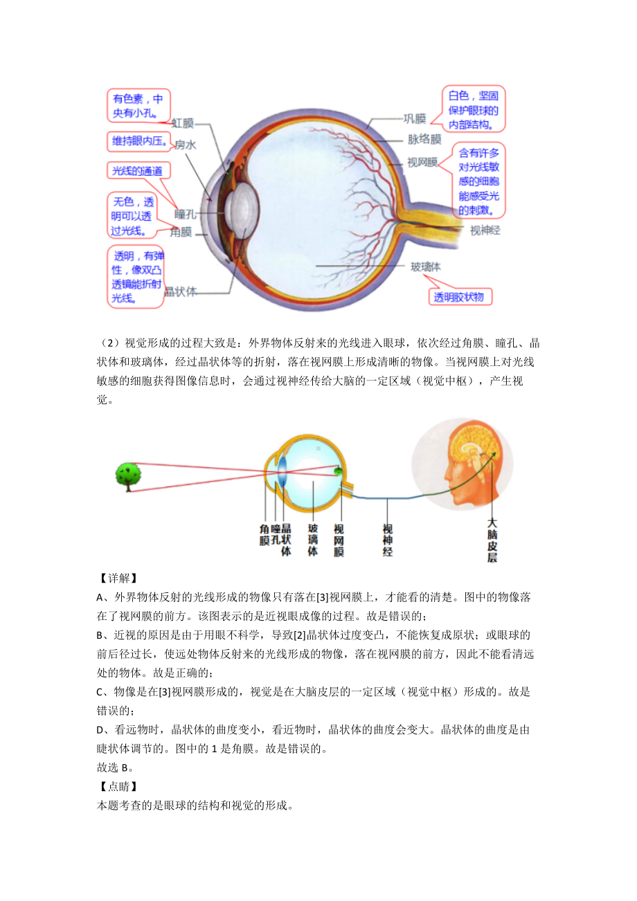 （人教版）第四单元《生物圈中的人》考试知识点.doc_第3页