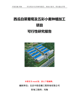 西瓜白菜葡萄及五彩小麦种植加工项目可行性研究报告写作模板立项备案文件.doc