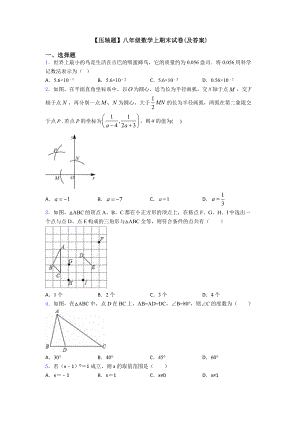 （压轴题）八年级数学上期末试卷(及答案).doc