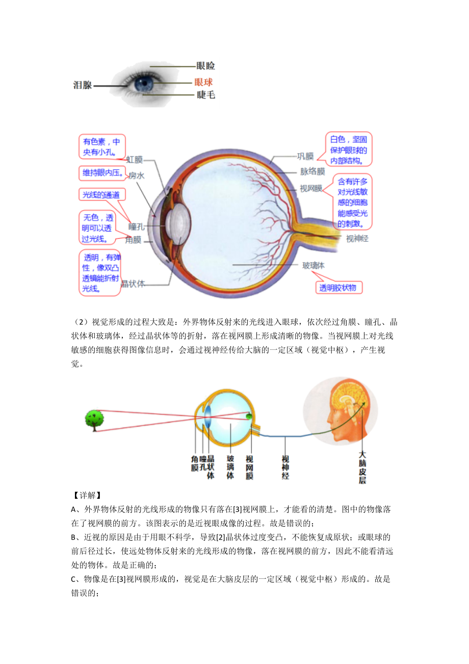 （人教版）初一生物《生物圈中的人》知识点练习.doc_第2页