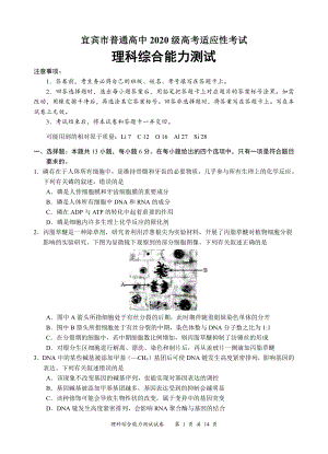 2023宜宾三诊理科综合（合卷）.pdf