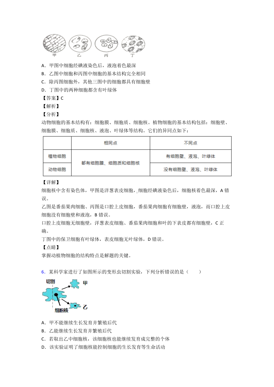 （人教版）生物第二单元《生物体的结构层次》知识点归纳.doc_第3页