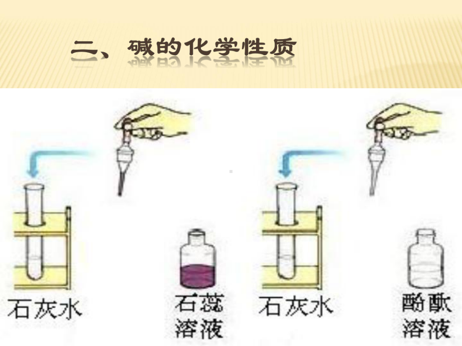 碱的性质 .ppt_第1页