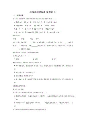 （6套打包）长沙XX学校小升初模拟考试语文试卷含答案.docx