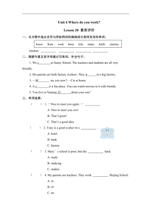 Unit 4 Where do you work Lesson 20 ( 同步练习)-人教精通版英语五年级上册.doc