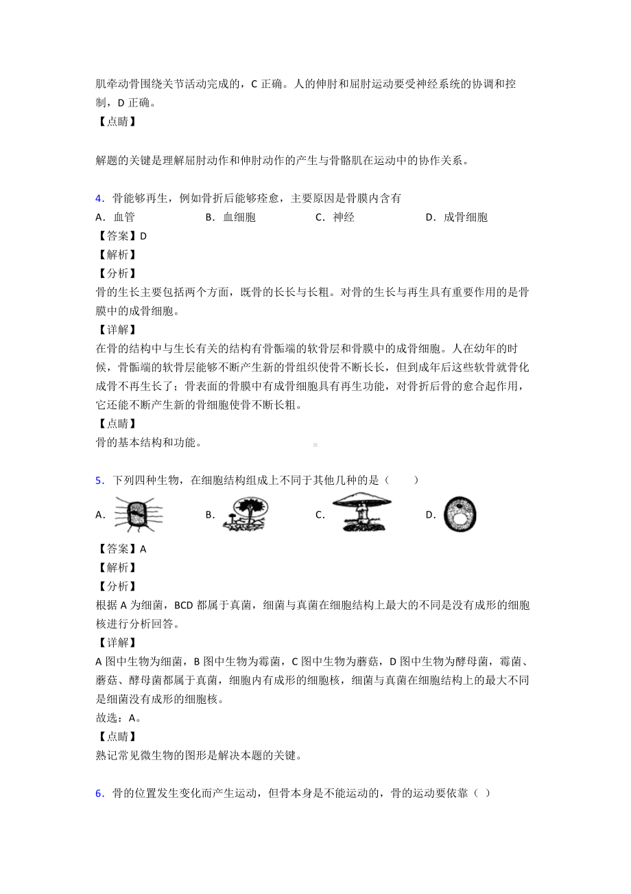 （人教版）《生物圈中的其他生物》知识点汇总.doc_第3页