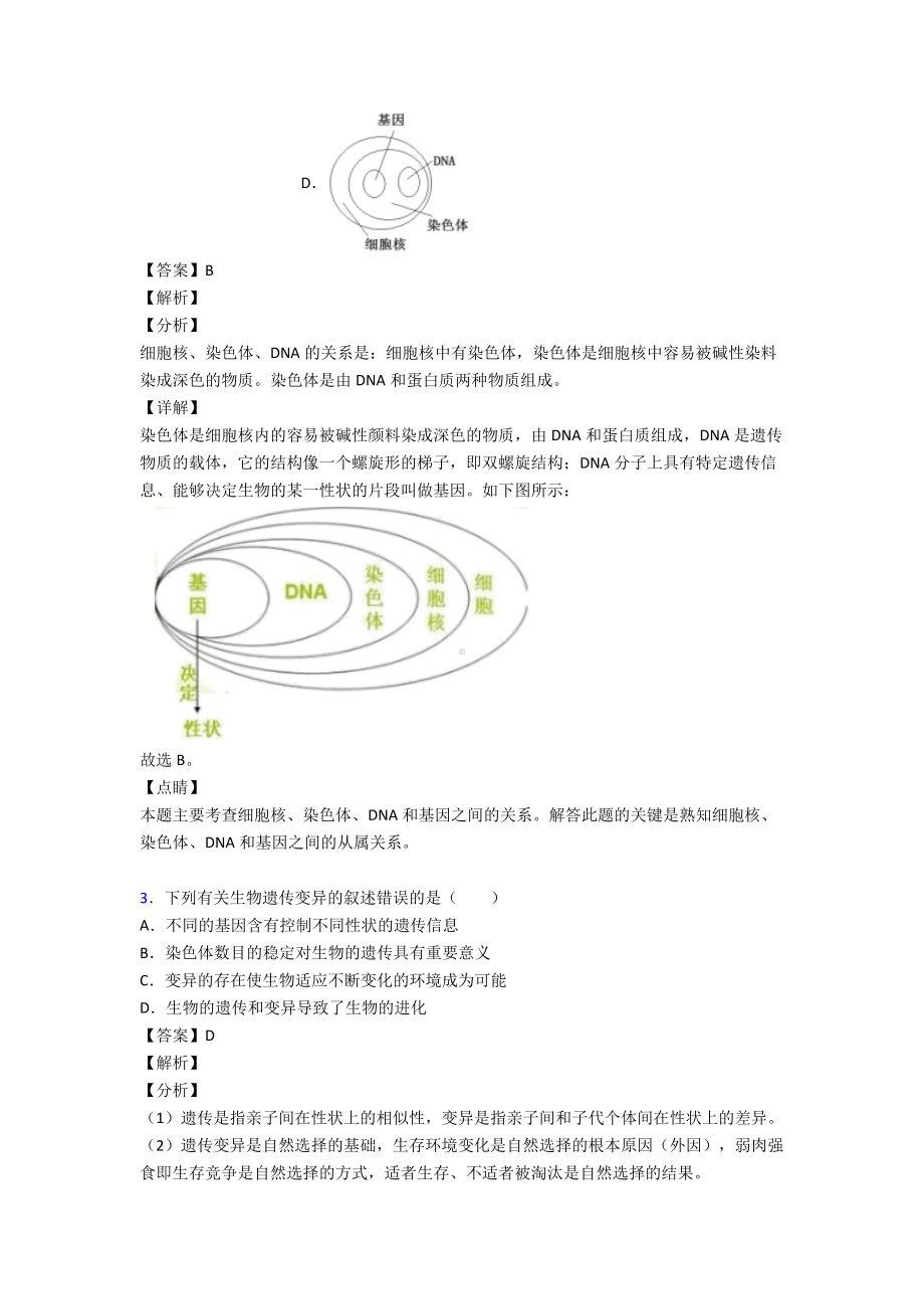 （人教版）初中生物《生物圈中生命的延续和发展》复习知识点.doc_第2页