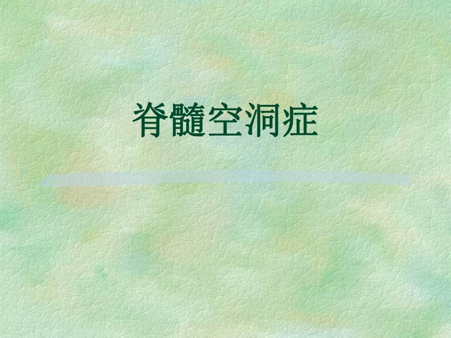 脊髓空洞症 .ppt_第1页