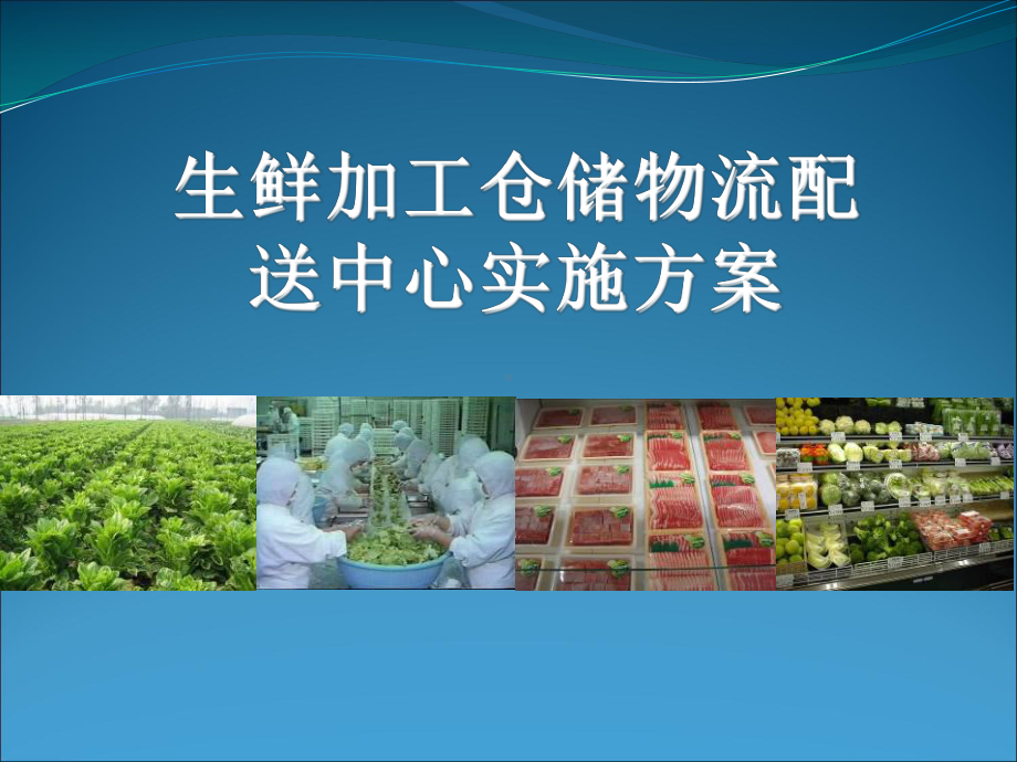 1-生鲜加工仓储物流中心实施方案.ppt_第1页