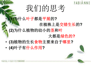 光合作用与茎越长越高 .ppt