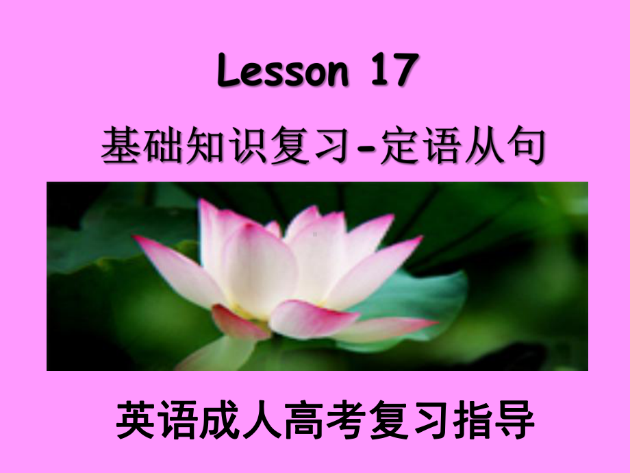 17定语从句 .ppt_第1页