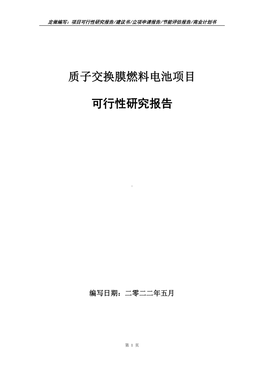 质子交换膜燃料电池项目可行性报告（写作模板）.doc_第1页