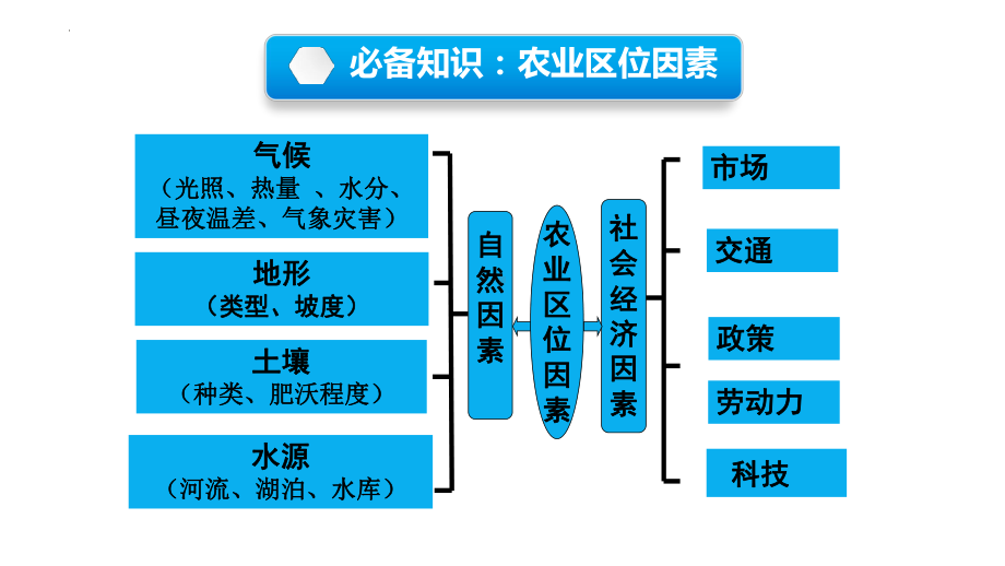 高考一轮复习ppt课件第一讲农业区位因素及其变化-2023新人教版（2019）《高中地理》必修第二册.pptx_第3页