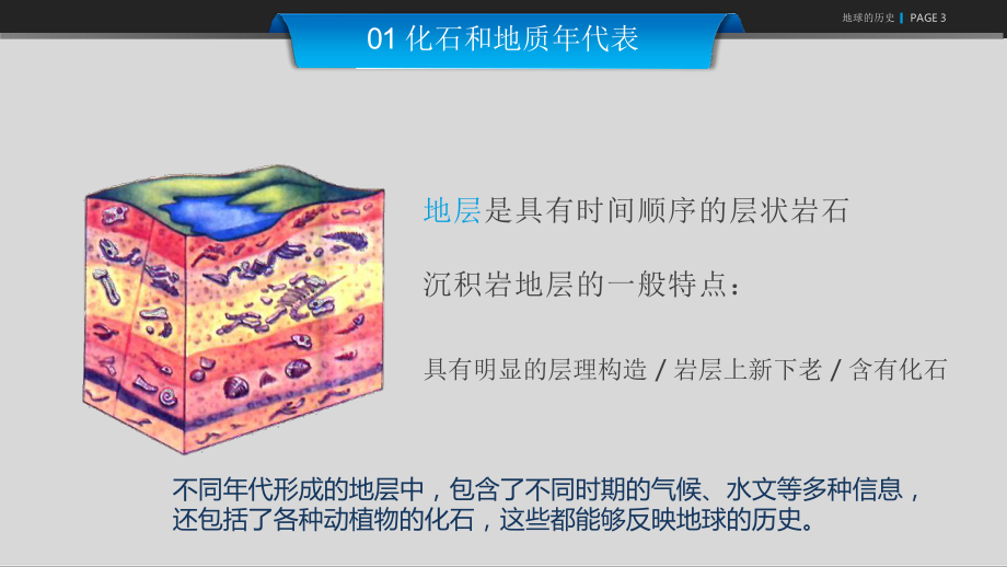 1.3 地球的历史 (共25张PPT)ppt课件-2023新人教版（2019）《高中地理》必修第一册.pptx_第3页