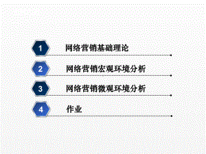 《网络营销策略与方法》课件02网络营销基础理论与环境分析.ppt