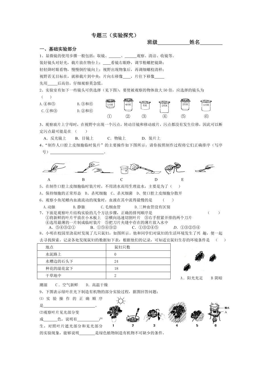 (实验探究)适合初三的专题练习训练-人教版人教版.doc_第1页