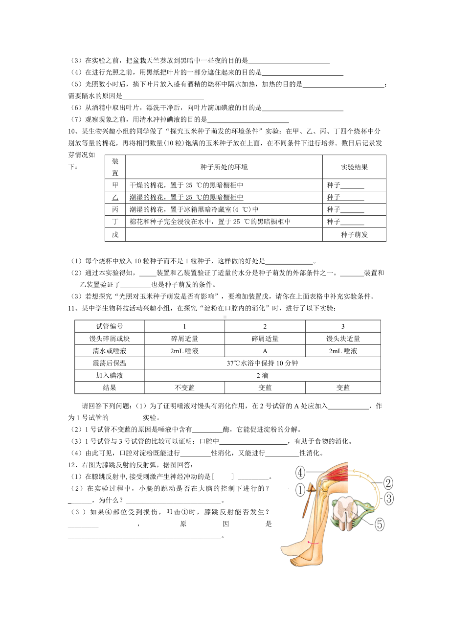 (实验探究)适合初三的专题练习训练-人教版人教版.doc_第2页