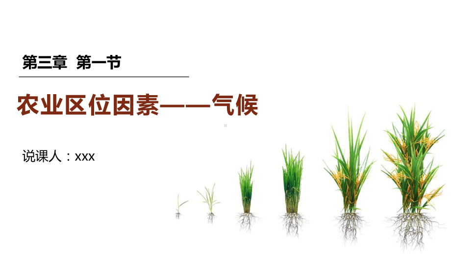 3.1 农业区位因素 说课ppt课件 -2023新人教版（2019）《高中地理》必修第二册.pptx_第1页