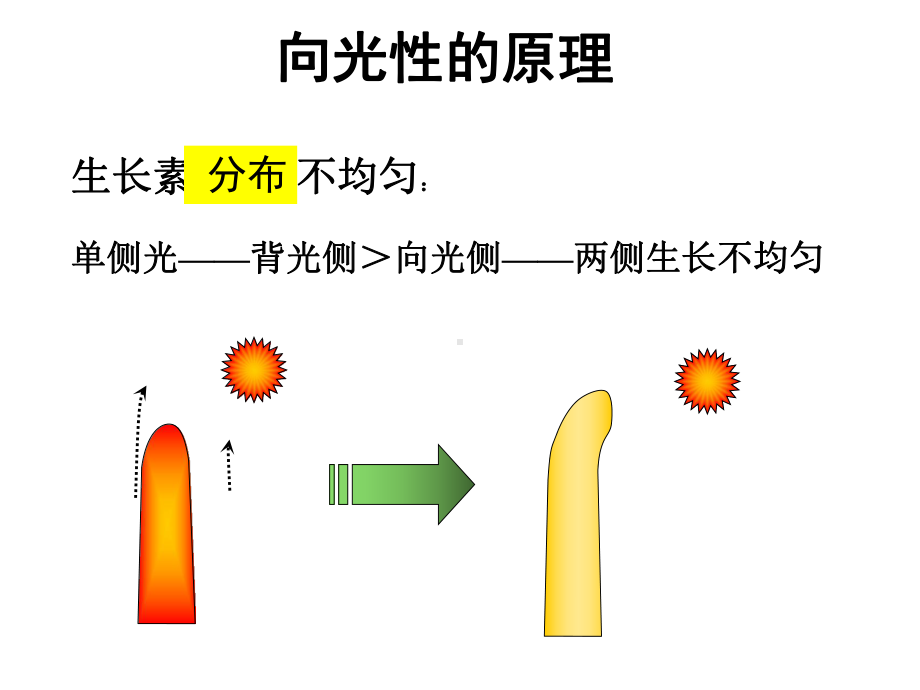 01生长素-教学讲解课件.ppt_第3页