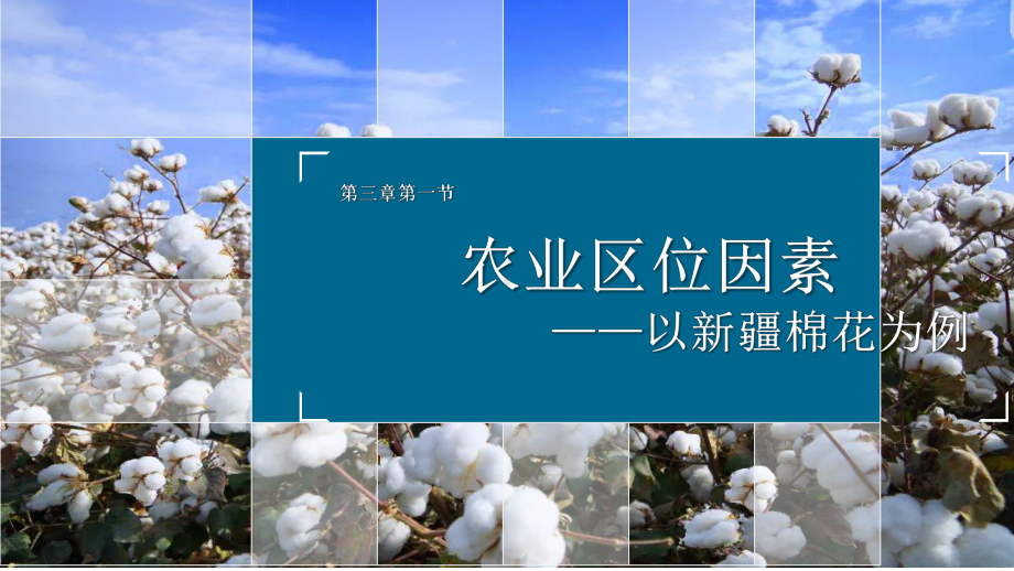 3.1.1农业区位因素-以新疆棉花为例ppt课件-2023新人教版（2019）《高中地理》必修第二册.pptx_第1页