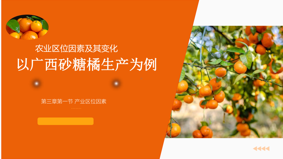 3.1 农业区位因素及其变化-以广西砂糖橘生产为例 ppt课件 -2023新人教版（2019）《高中地理》必修第二册.pptx_第1页