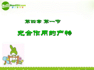 光合作用的产物.ppt