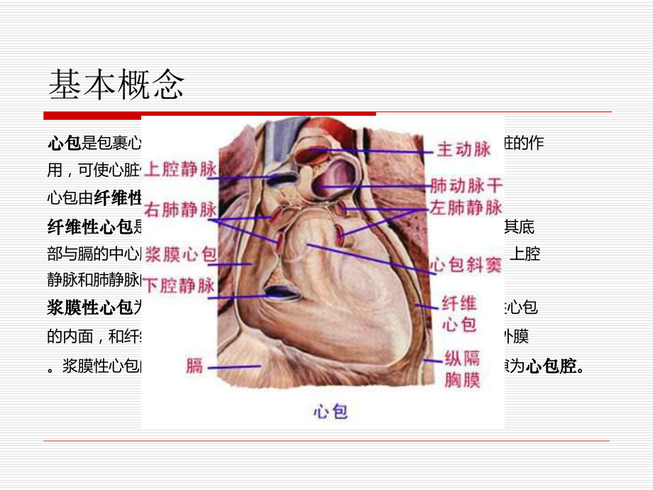 心包填塞详解.ppt_第2页