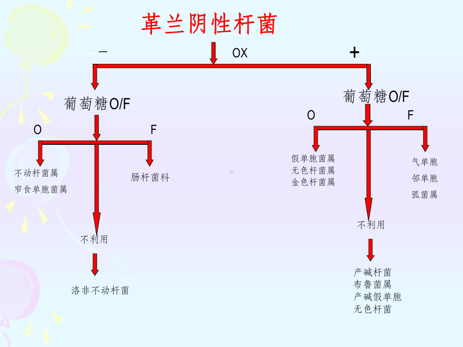 2019年微生物检验第八章非发酵阴杆课件.ppt_第3页