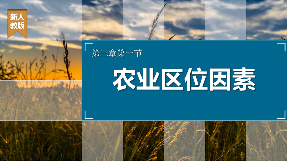 3.1.1农业区位因素ppt课件 (j12x2)-2023新人教版（2019）《高中地理》必修第二册.pptx_第1页