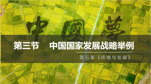 5.3中国国家发展战略举例ppt课件+-2023新人教版（2019）《高中地理》必修第二册.pptx