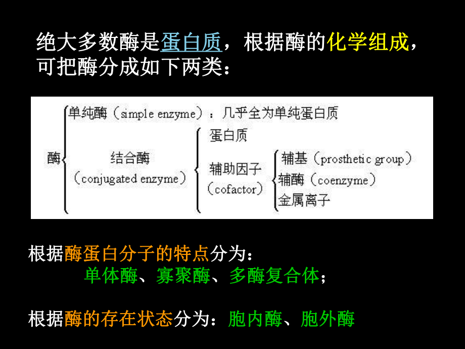 1-4酶分类和命名课件.ppt_第2页