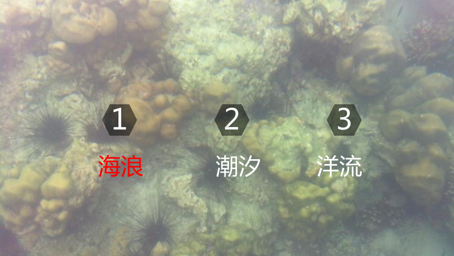 3.3海水的运动 (共16张PPT)ppt课件-2023新人教版（2019）《高中地理》必修第一册.pptx_第2页