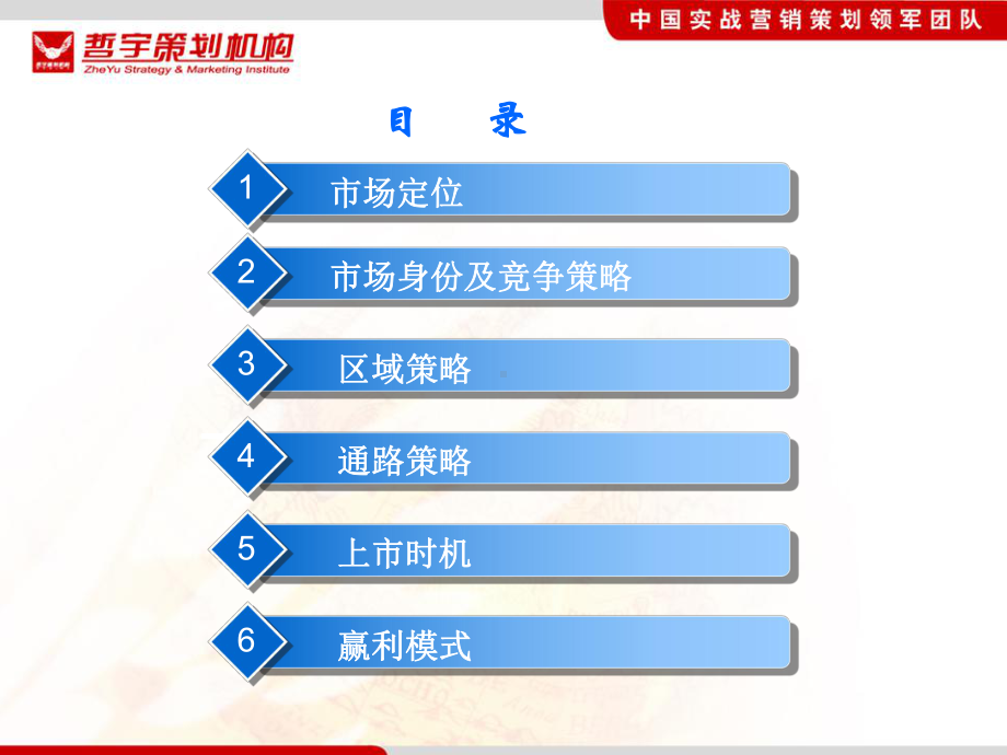 中华灵芝王营销策略课件.ppt_第2页