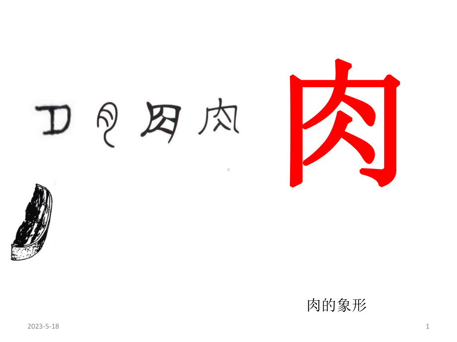 与“肉”有关的汉字课件.ppt_第1页